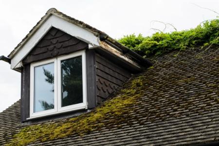 Moss, Mold, And Mildew: Organic Growth And How It Affects Your Rooftop